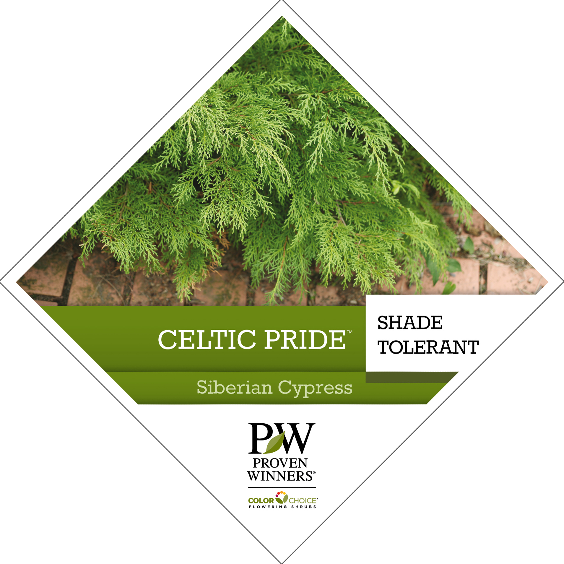 Preview of Celtic Pride® Microbiota Tag PDF
