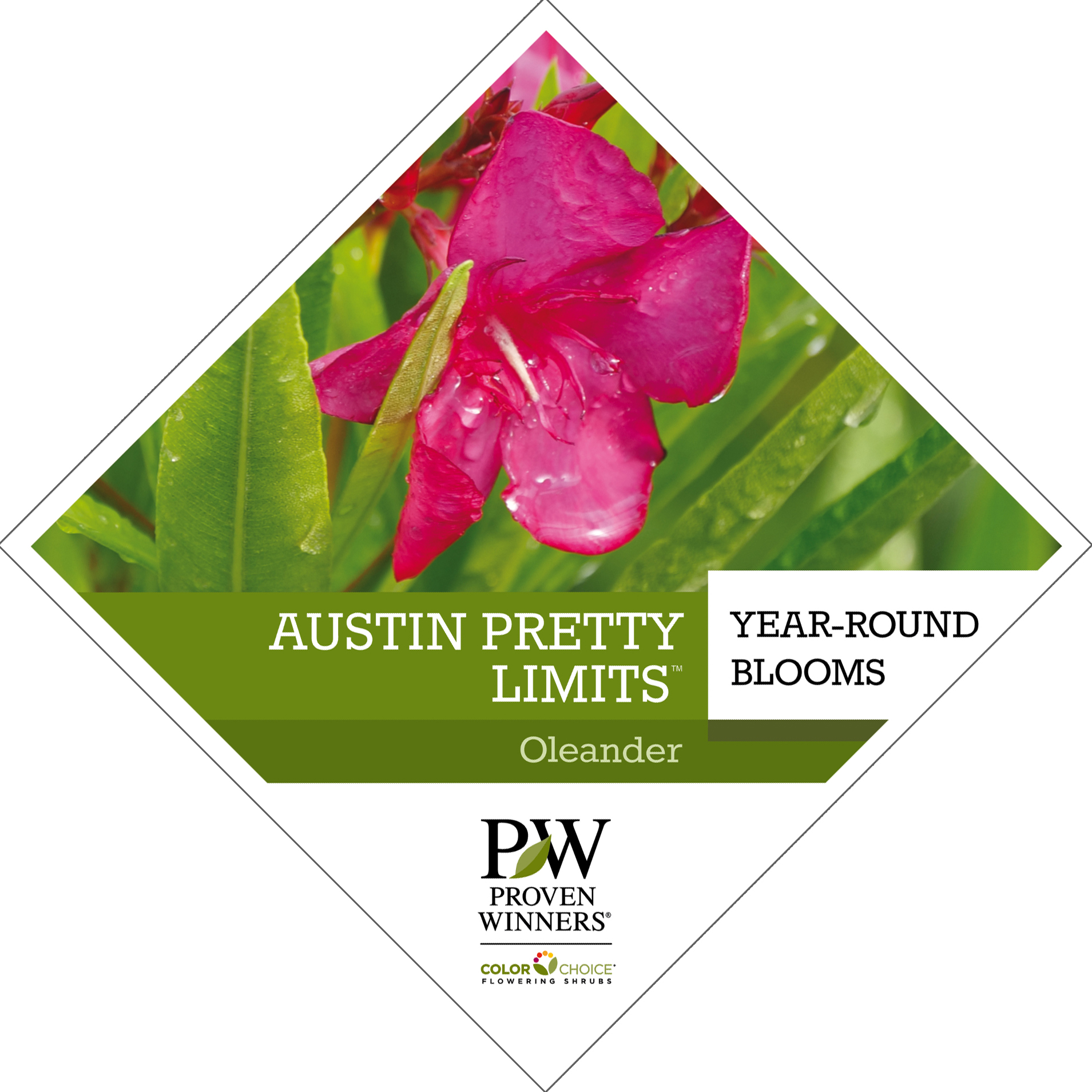 Preview of Austin Pretty Limits® Nerium tag PDF