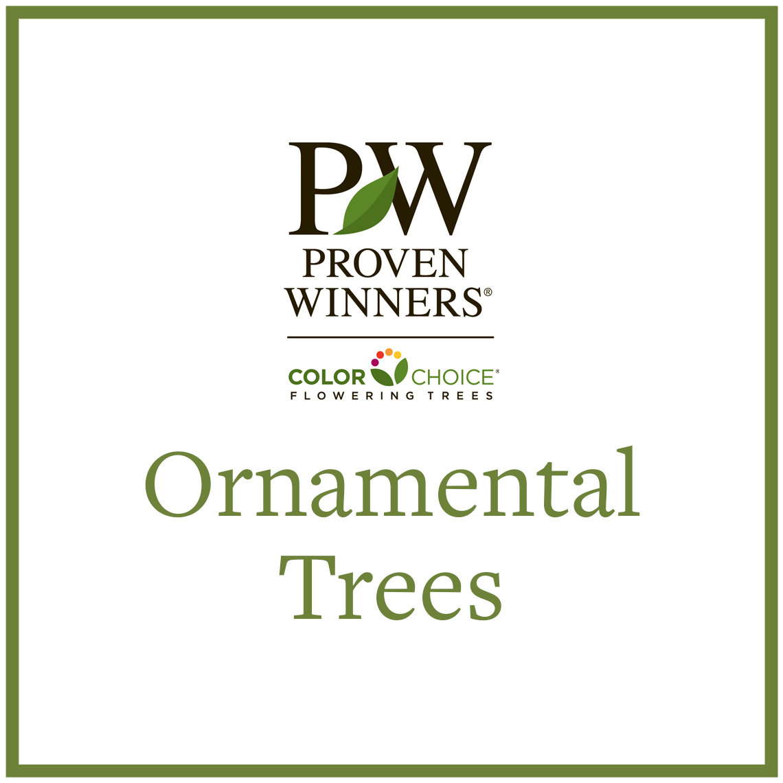 Preview of Proven Winners Trees Guide PDF