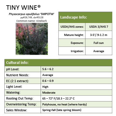 Preview of Tiny Wine® Physocarpus Grower Sheet PDF