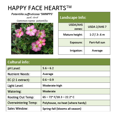 Preview of Happy Face Hearts® Potentilla Grower Sheet PDF