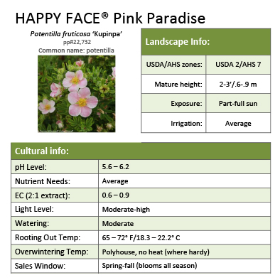 Preview of Happy Face® Pink Paradise Potentilla Grower Sheet PDF