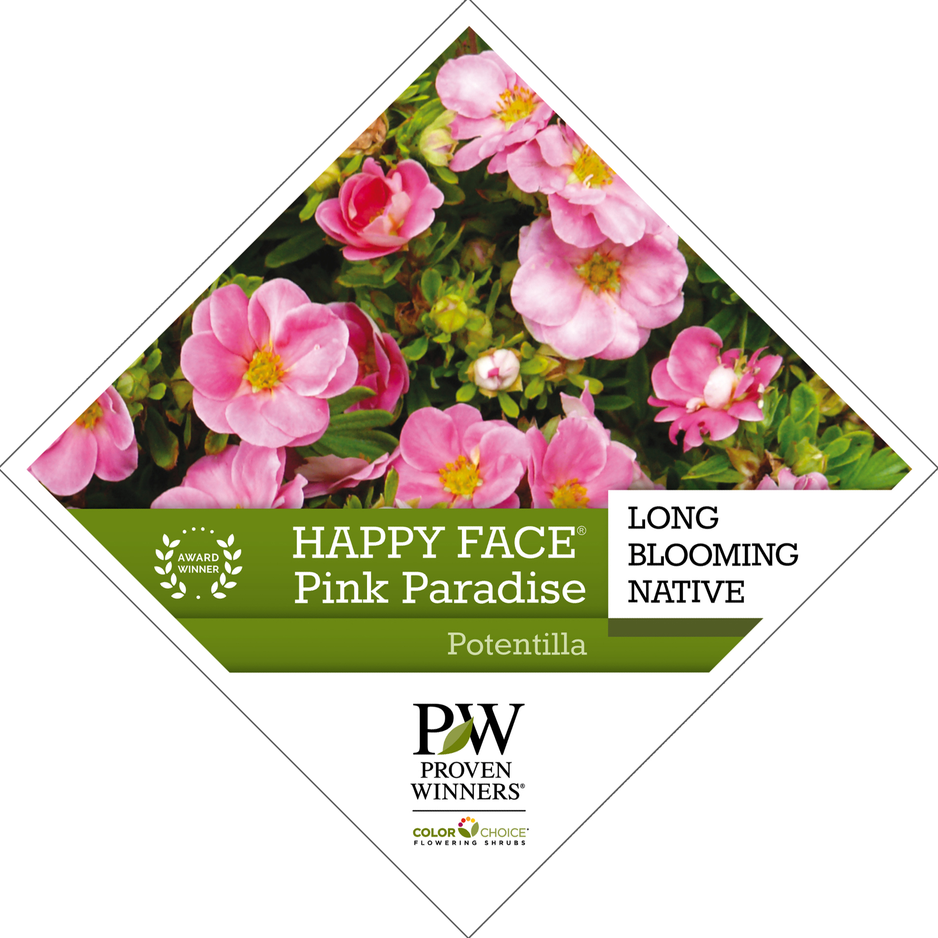 Preview of Happy Face® Pink Paradise Potentilla Tag PDF