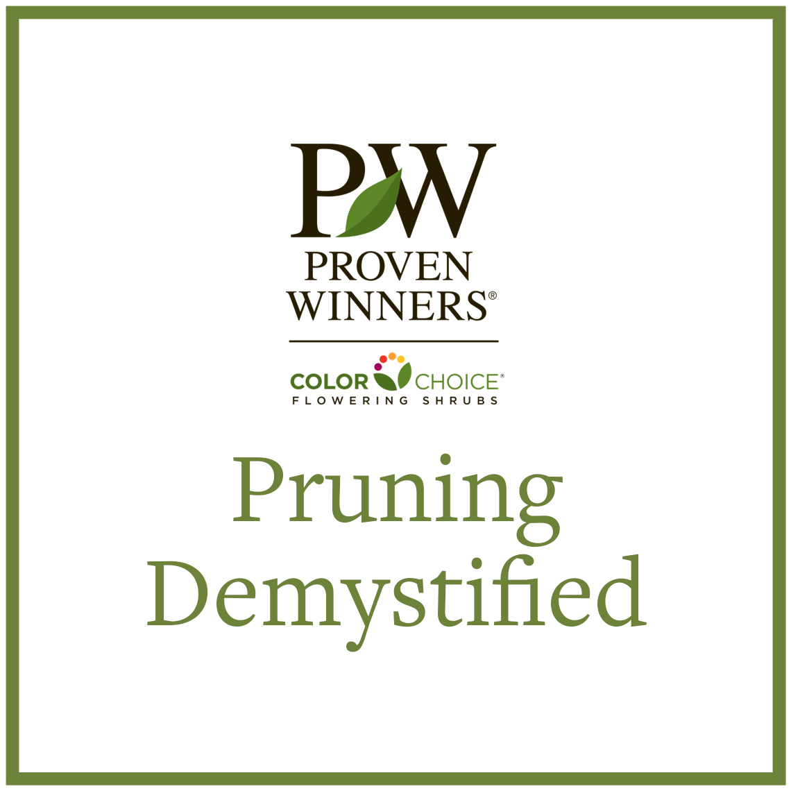 Preview of Pruning Demystified PDF