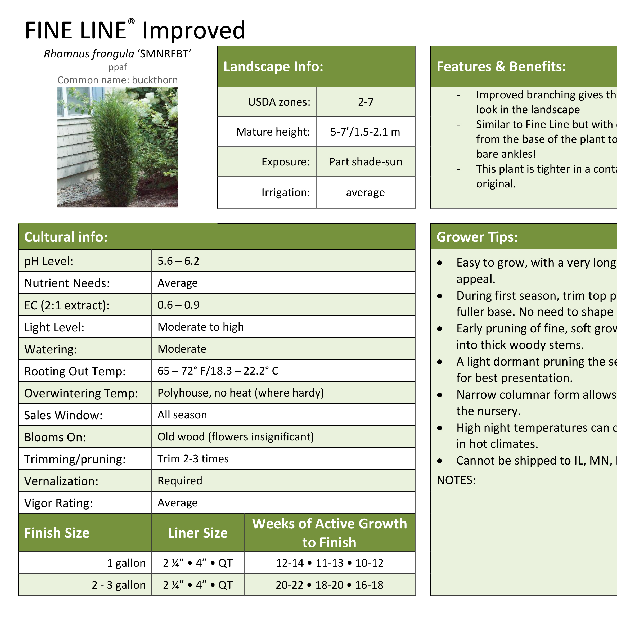 Preview of Fine Line® Improved Rhamnus Professional Grower Sheet PDF