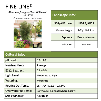 Preview of Fine Line® Rhamnus Grower Sheet PDF