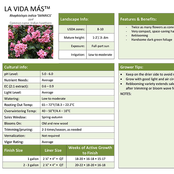 Preview of La Vida Más™ Rhaphiolepis Grower Sheet PDF