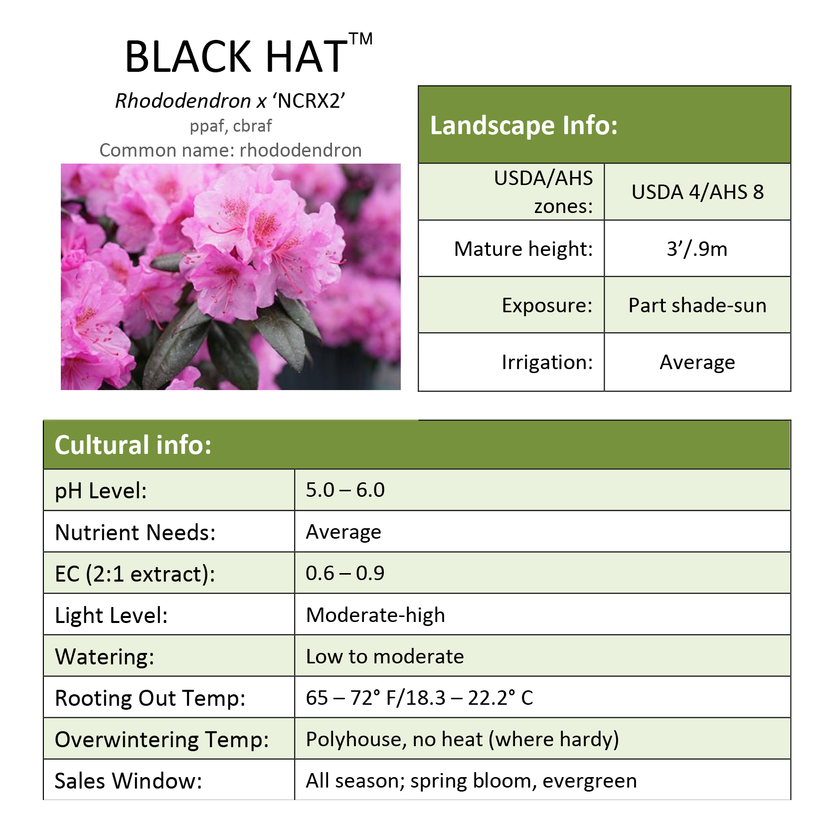 Preview of Black Hat® Rhododendron Grower Sheet PDF