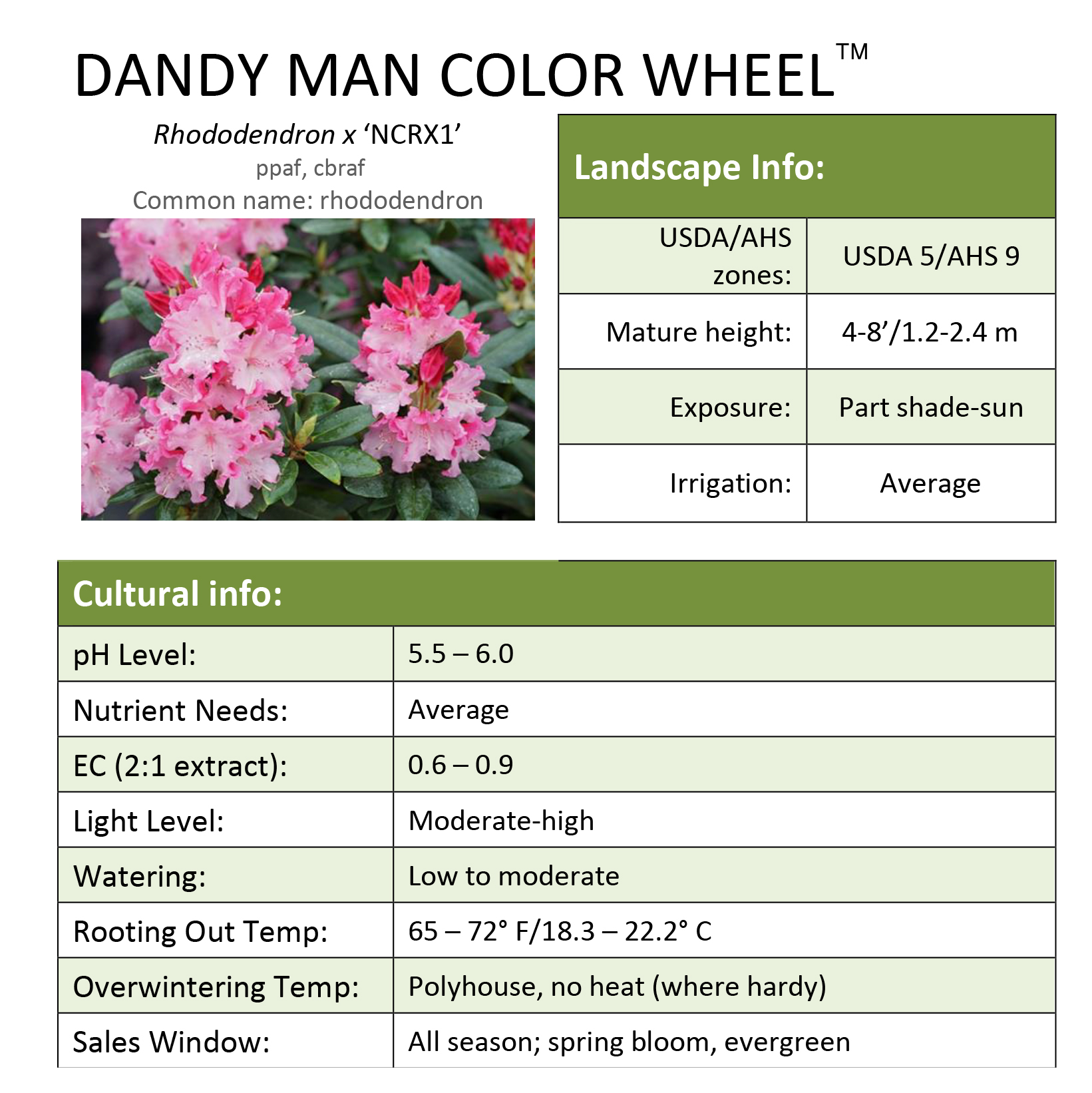 Preview of Dandy Man Color Wheel® Rhododendron Grower Sheet PDF