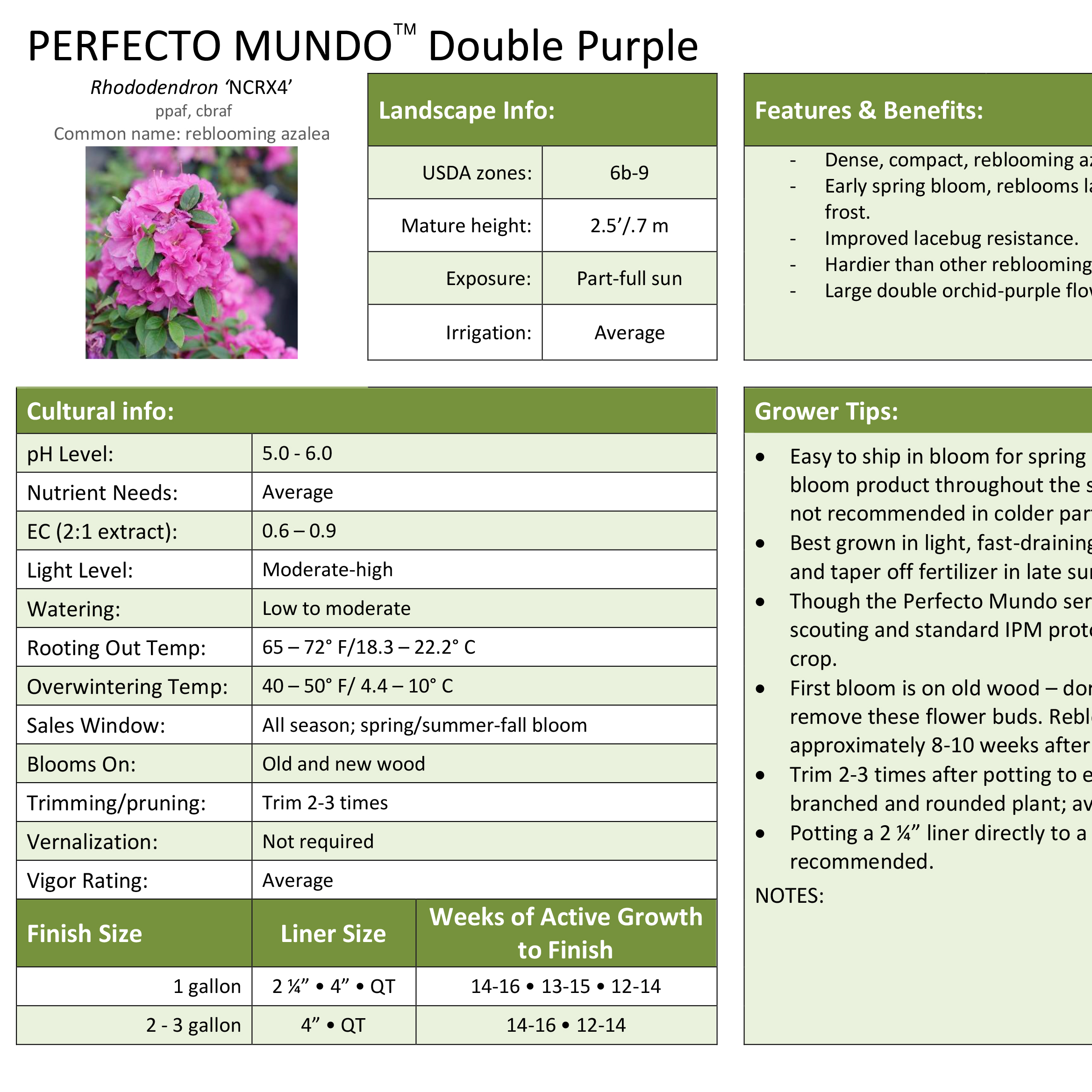 Preview of Perfecto Mundo® Double Purple Rhododendron Professional Grower Sheet PDF