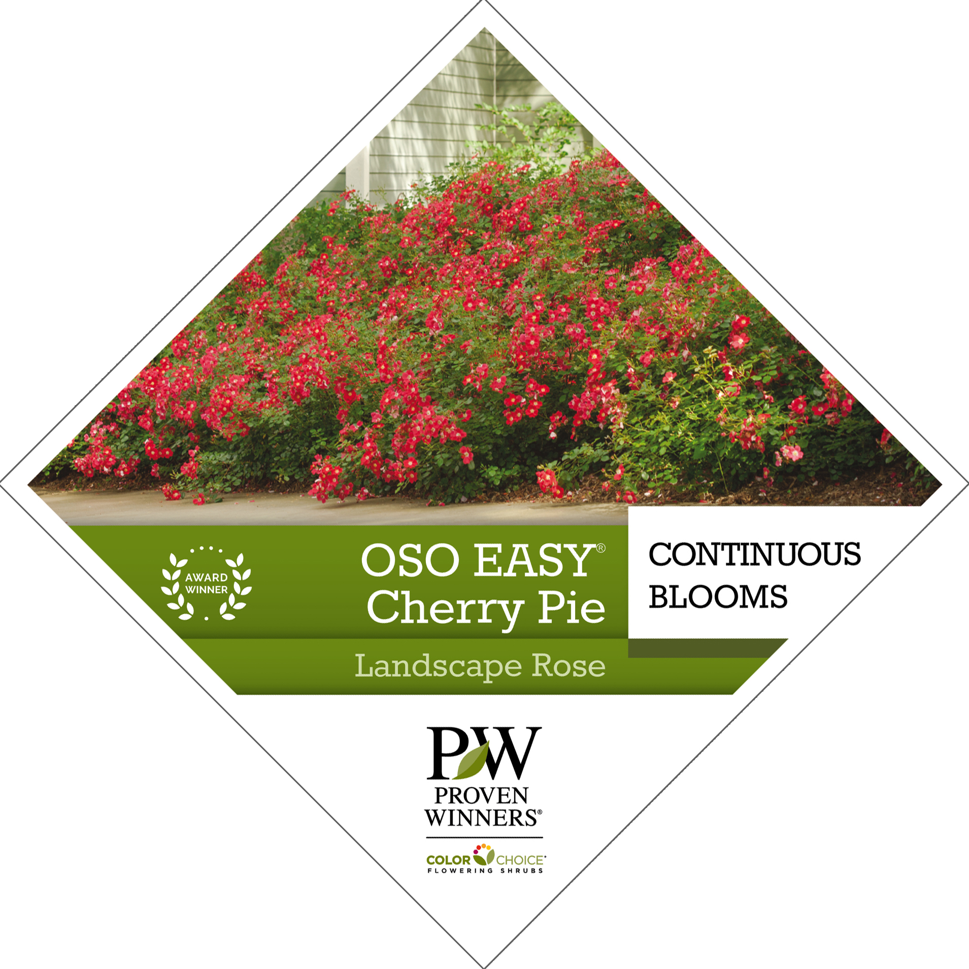 Preview of Oso Easy® Cherry Pie Rosa Tag PDF