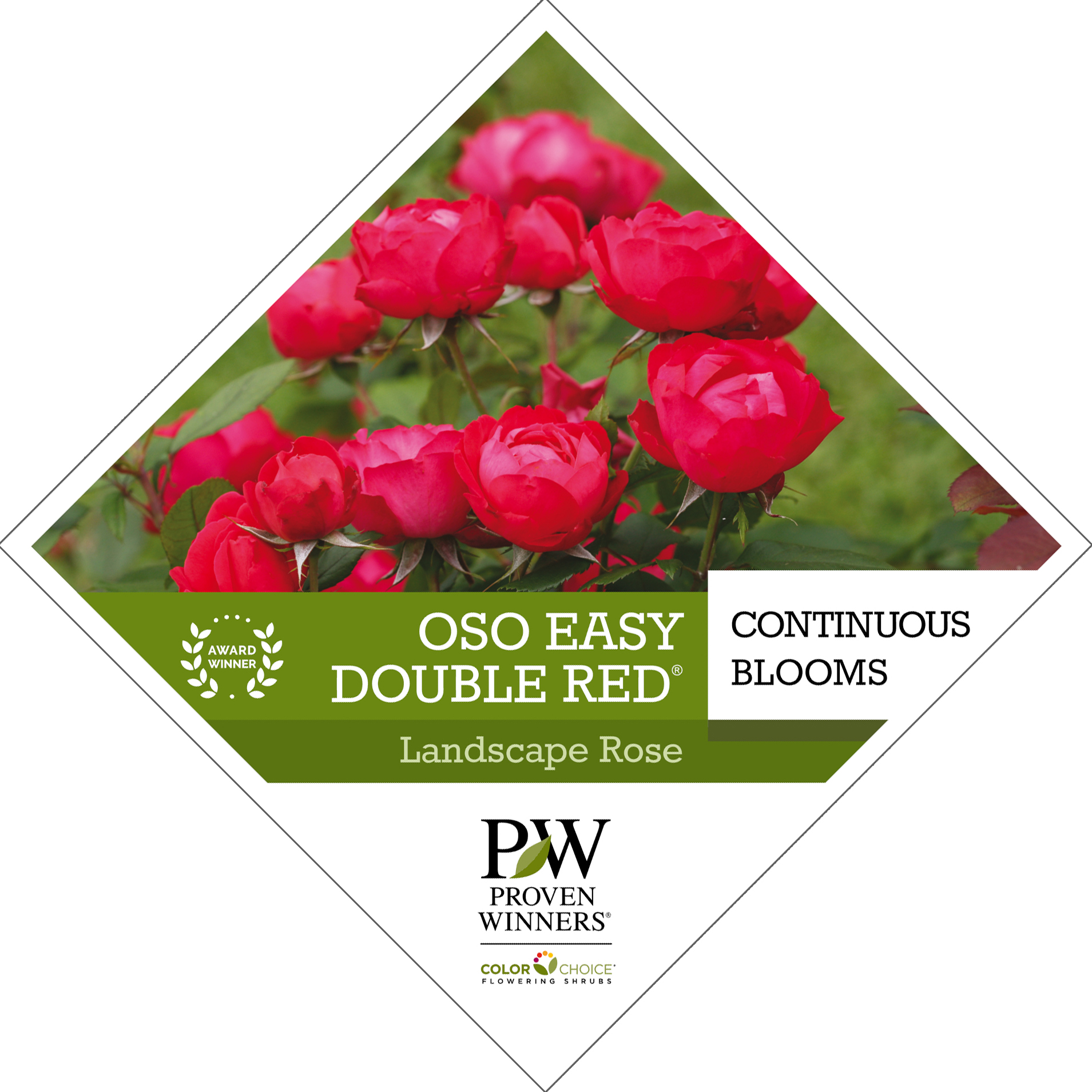 Preview of Oso Easy Double Red® Rosa Tag PDF