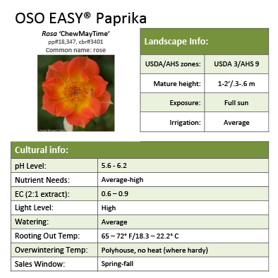 Preview of Oso Easy® Paprika Rosa Grower Sheet PDF