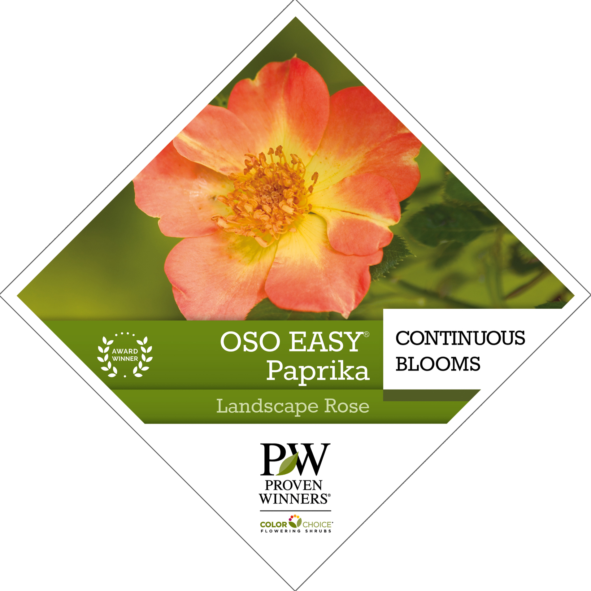 Preview of Oso Easy® Paprika Rosa Tag PDF