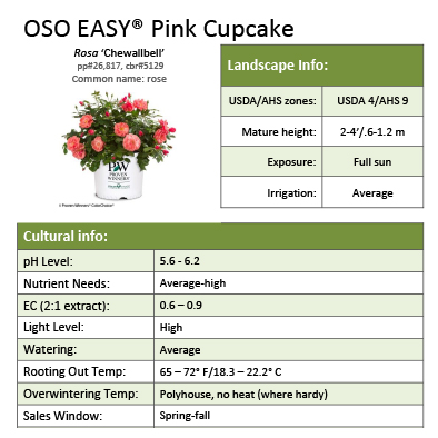 Preview of Oso Easy® Pink Cupcake Rosa Grower Sheet PDF