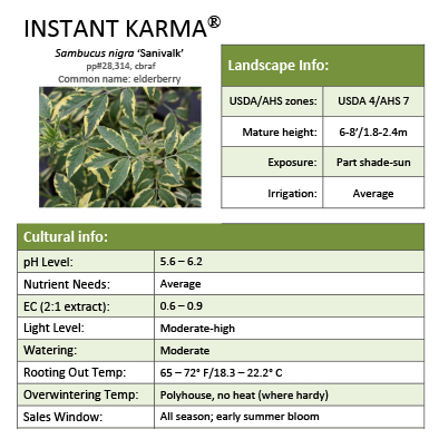 Preview of Instant Karma® Sambucus Grower Sheet PDF