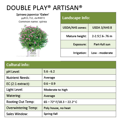 Preview of Double Play® Artisan® Spiraea Grower Sheet PDF