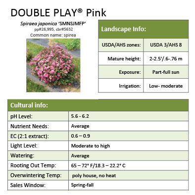 Preview of Double Play® Pink Spiraea Grower Sheet PDF