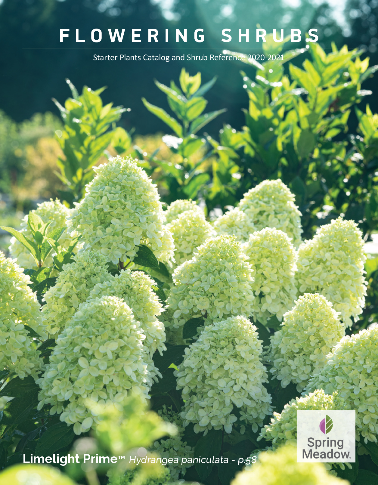 Preview of 2020-2021 Spring Meadow Wholesale Catalog - first half PDF