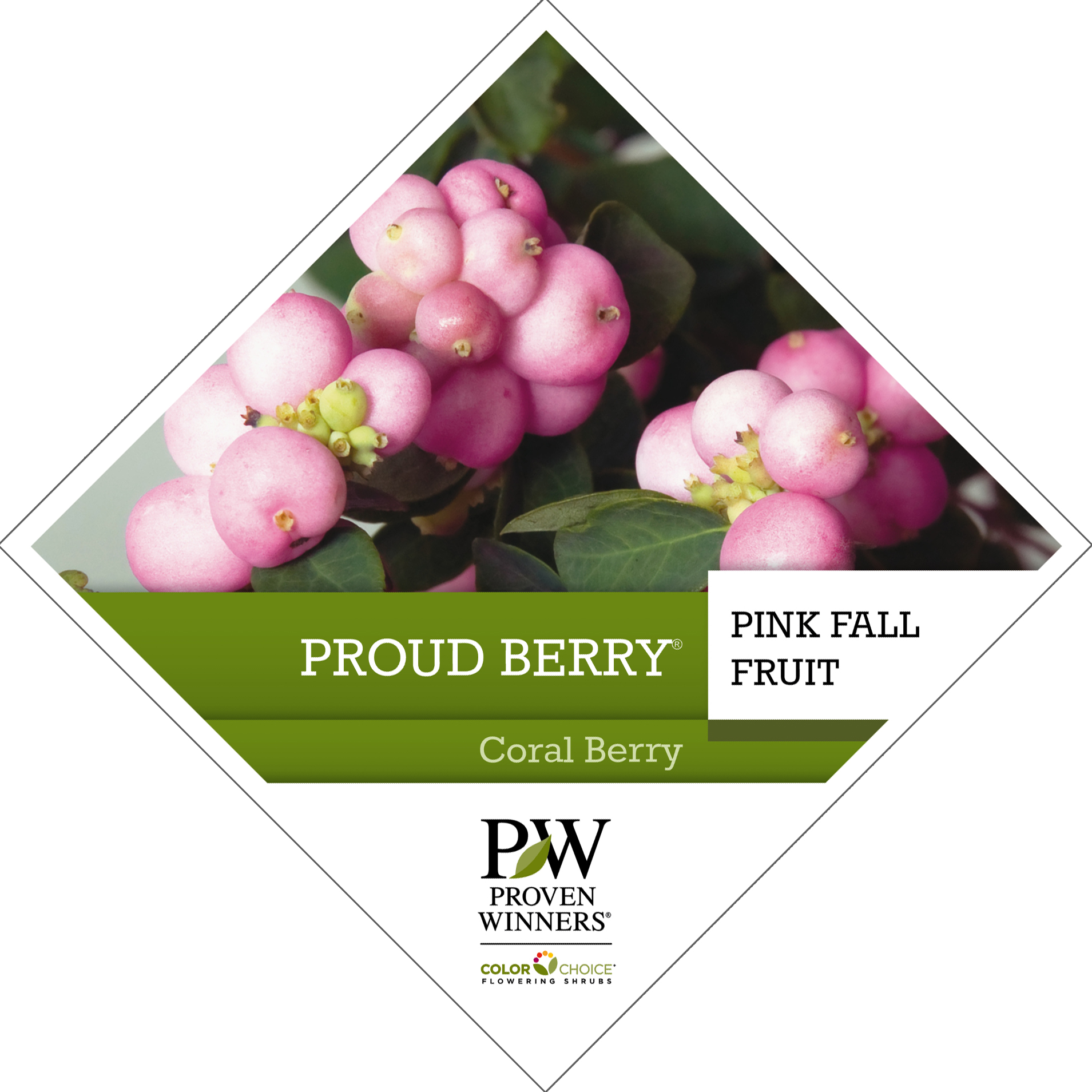 Preview of Proud Berry® Symphoricarpos Tag PDF