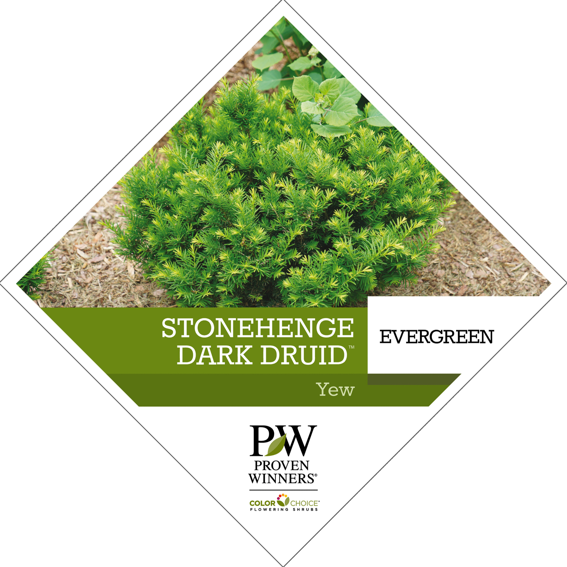 Preview of Stonehenge Dark Druid® Taxus tag PDF