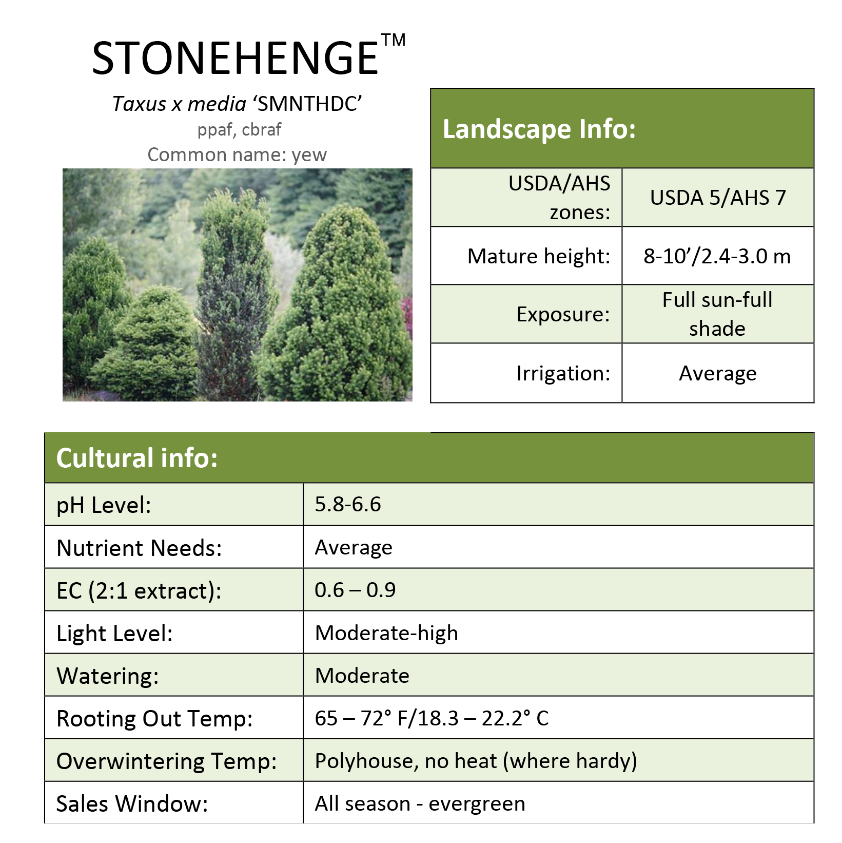 Preview of Stonehenge® Taxus Grower Sheet PDF