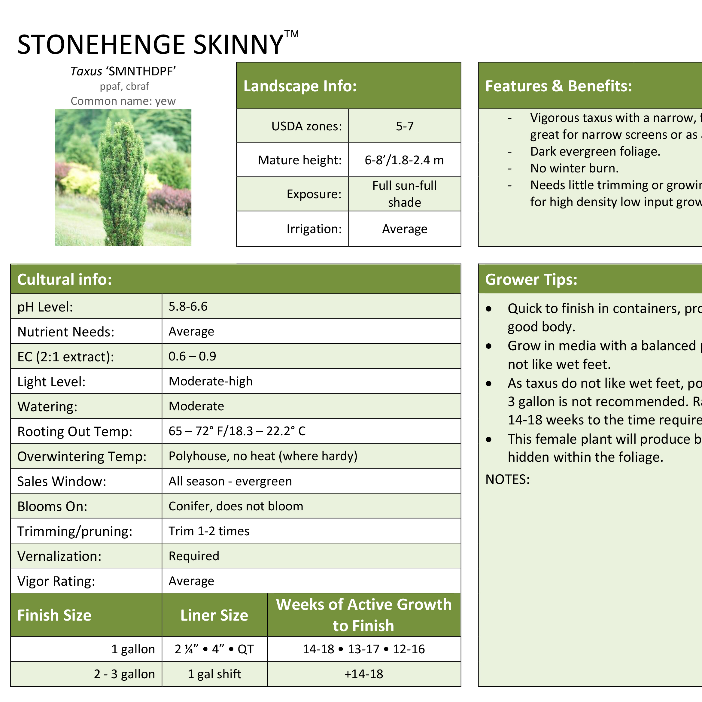 Preview of Stonehenge Skinny® Taxus Professional Grower Sheet PDF