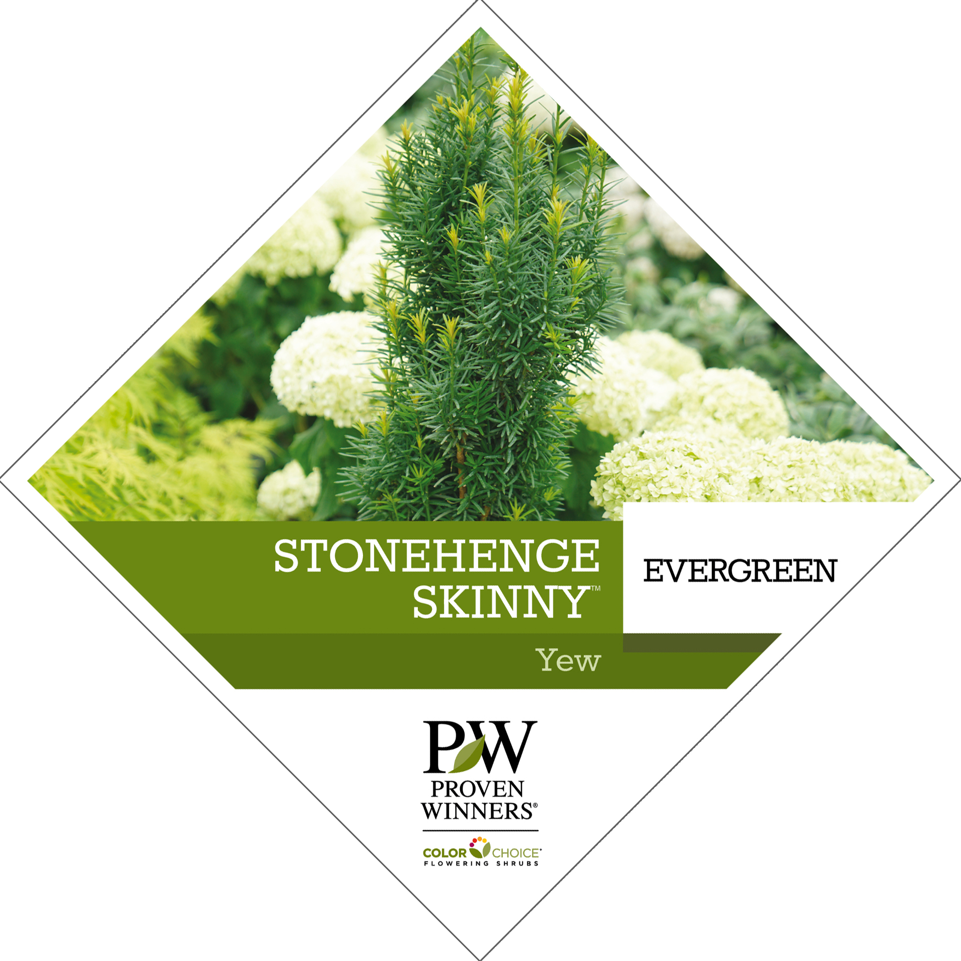 Preview of Stonehenge Skinny® Taxus tag PDF
