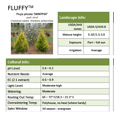 Preview of  Fluffy® Thuja Grower Sheet PDF