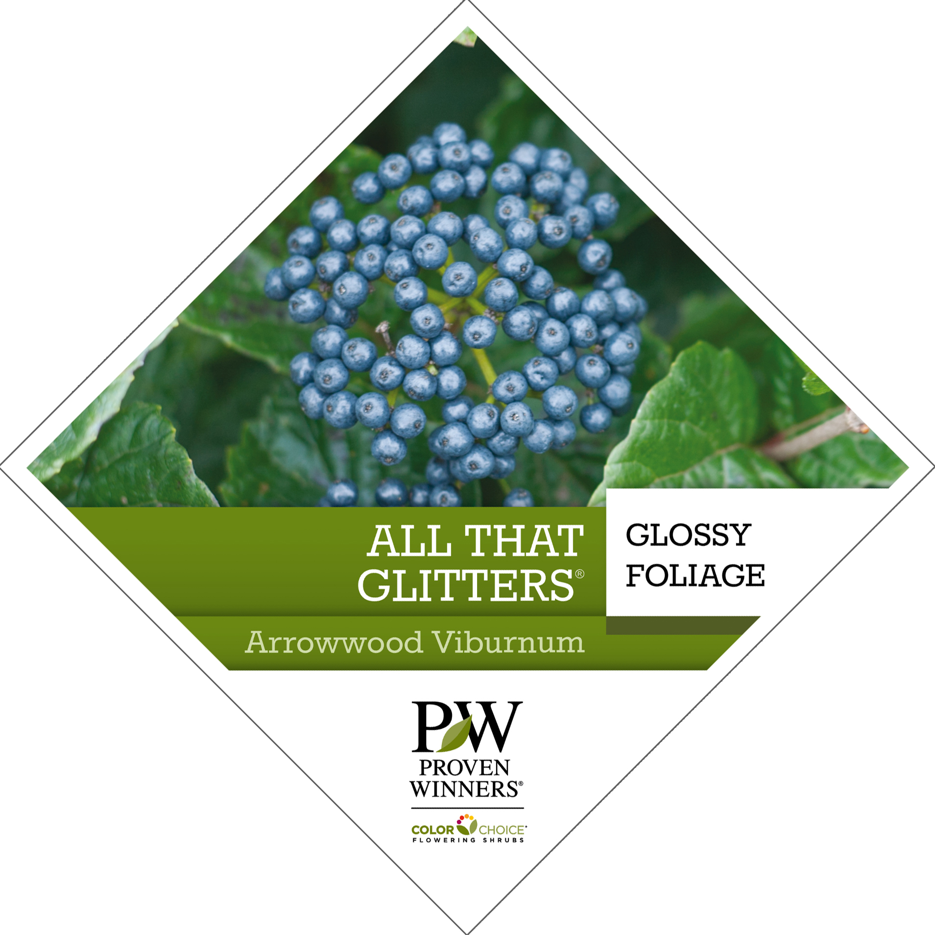 Preview of All That Glitters® Viburnum Tag PDF