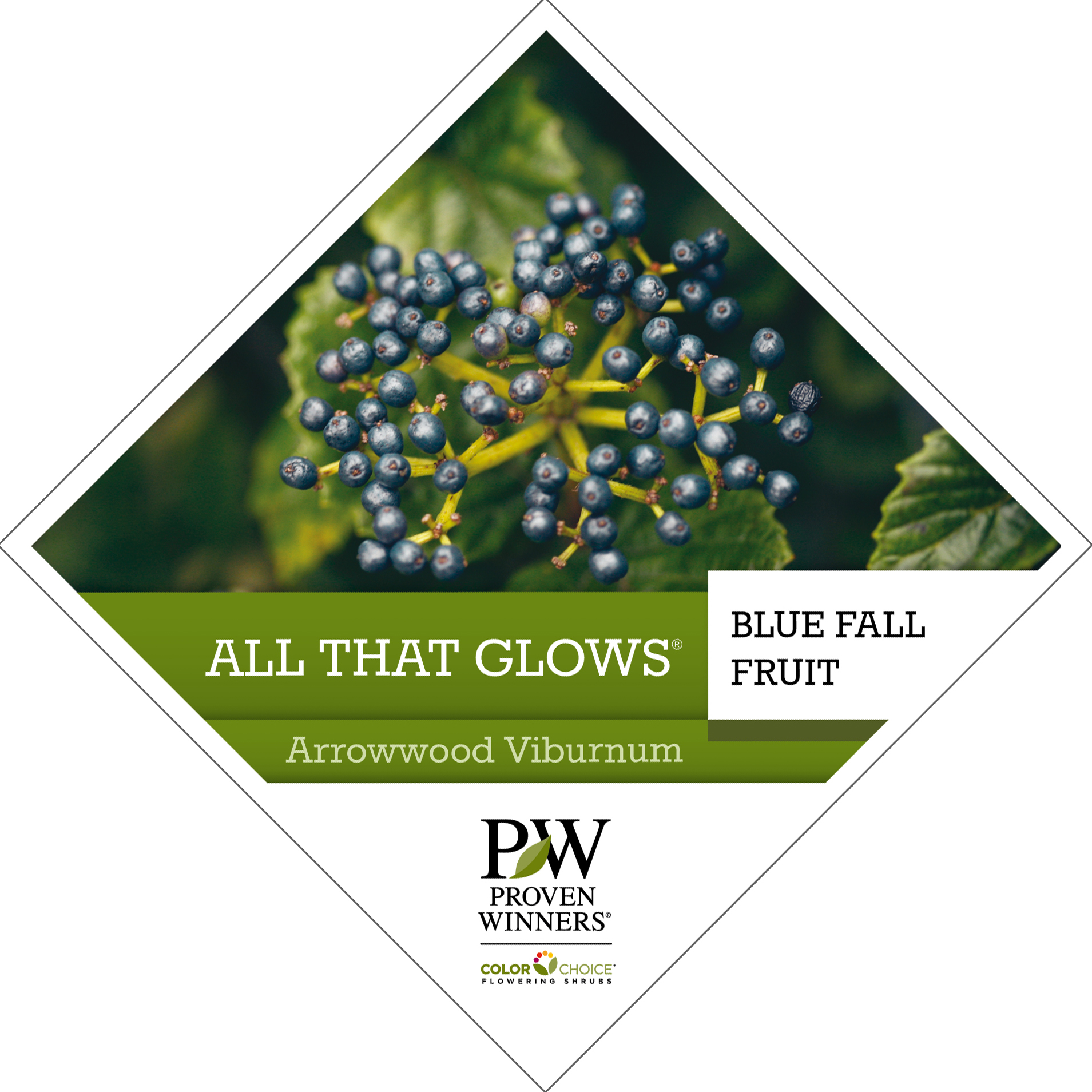 Preview of All That Glows® Viburnum Tag PDF