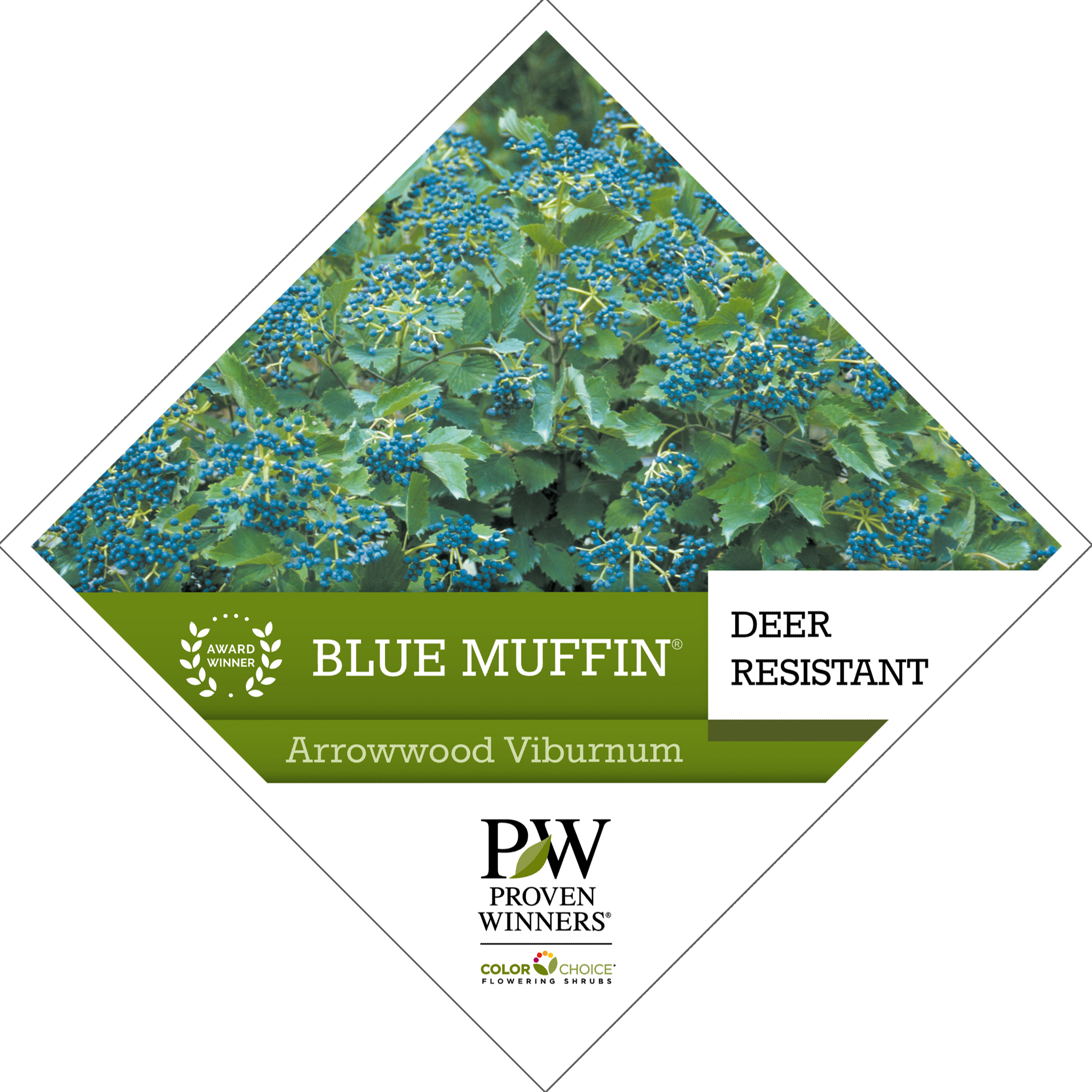 Preview of Blue Muffin® Viburnum Tag PDF