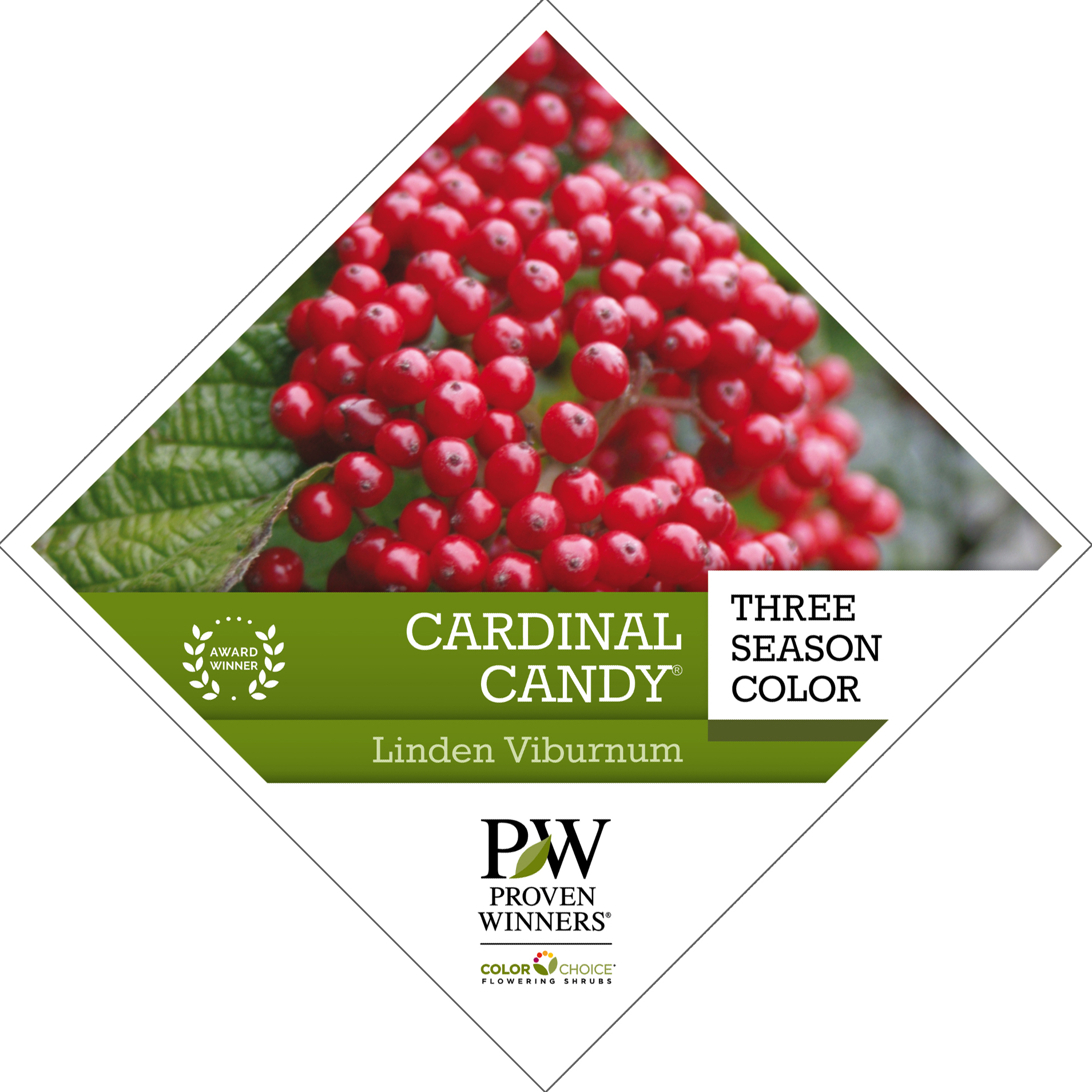 Preview of Cardinal Candy® Viburnum Tag PDF