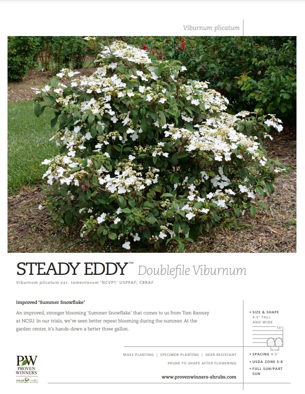 Preview of Steady Eddy™ Viburnum spec sheet PDF