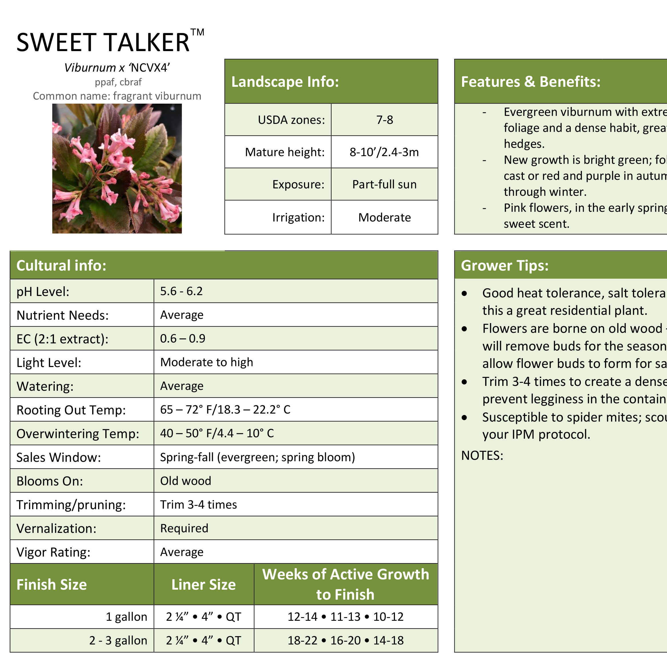 Preview of Sweet Talker® Viburnum Professional Grower Sheet PDF