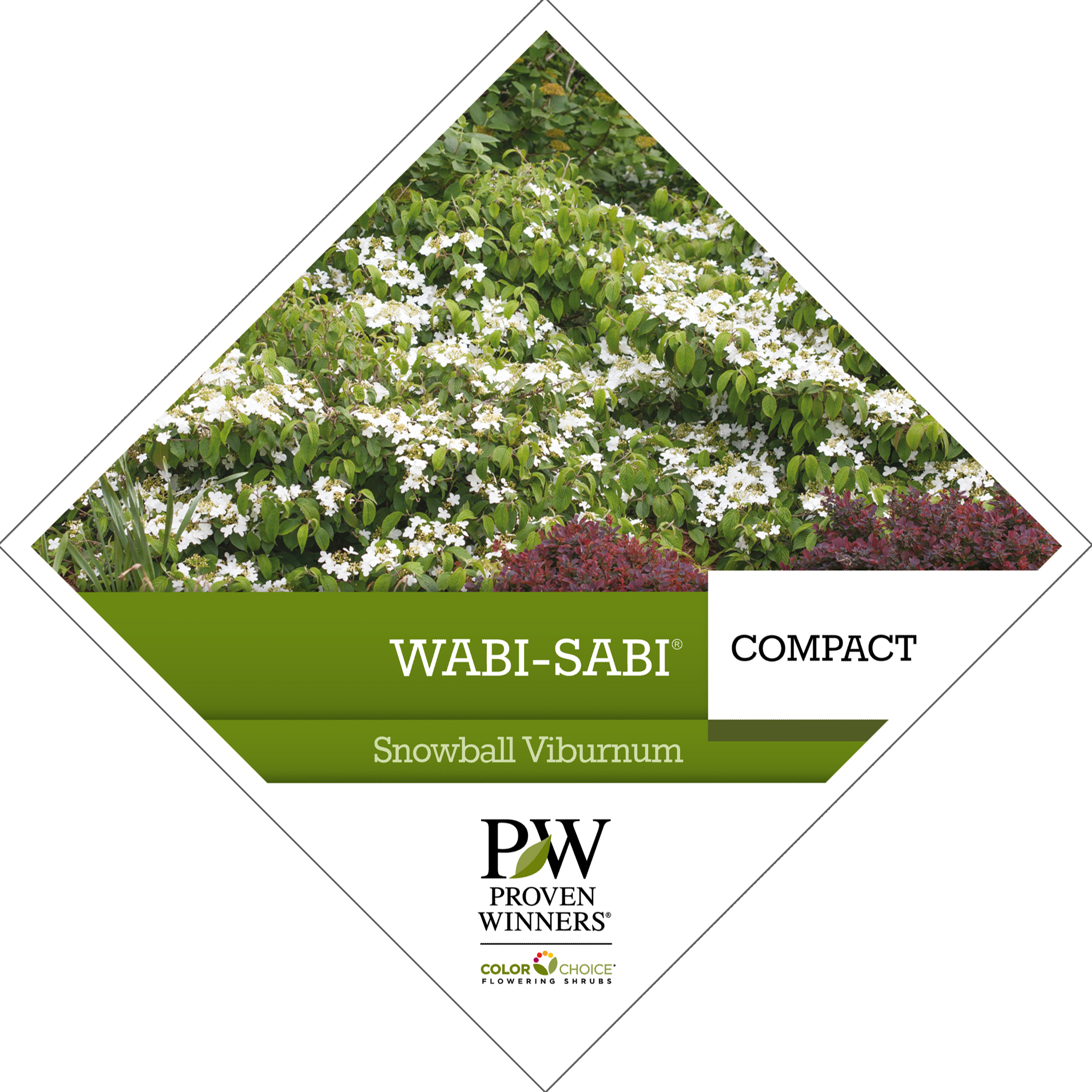 Preview of Wabi-Sabi® Viburnum Tag PDF