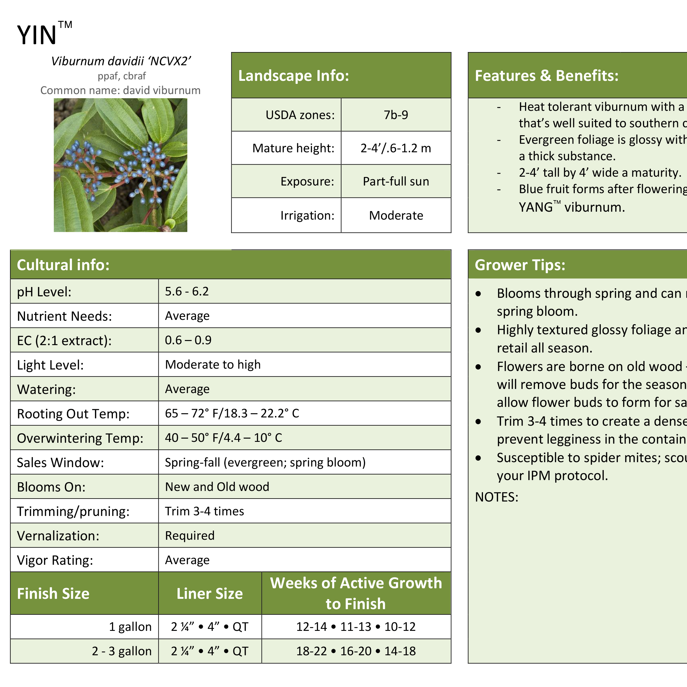 Preview of Yin® Viburnum Professional Grower Sheet PDF
