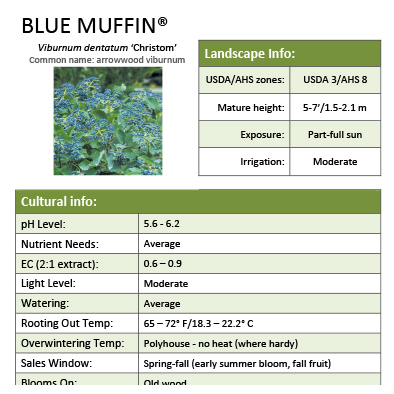 Preview of Blue Muffin® Viburnum Grower Sheet PDF