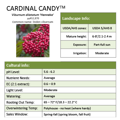 Preview of Cardinal Candy® Viburnum Grower Sheet PDF