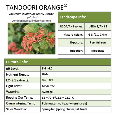 Preview of Tandoori Orange® Viburnum Grower Sheet PDF