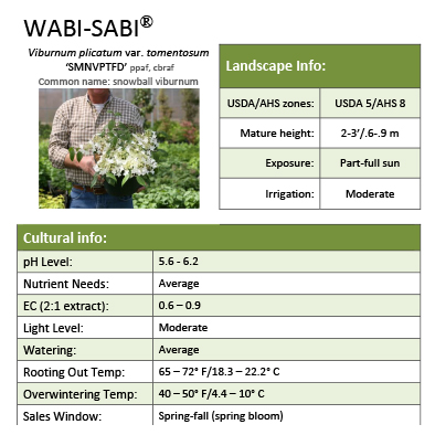Preview of WABI-SABI® Viburnum Grower Sheet PDF