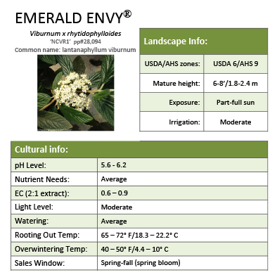 Preview of Emerald Envy® Viburnum Grower Sheet PDF