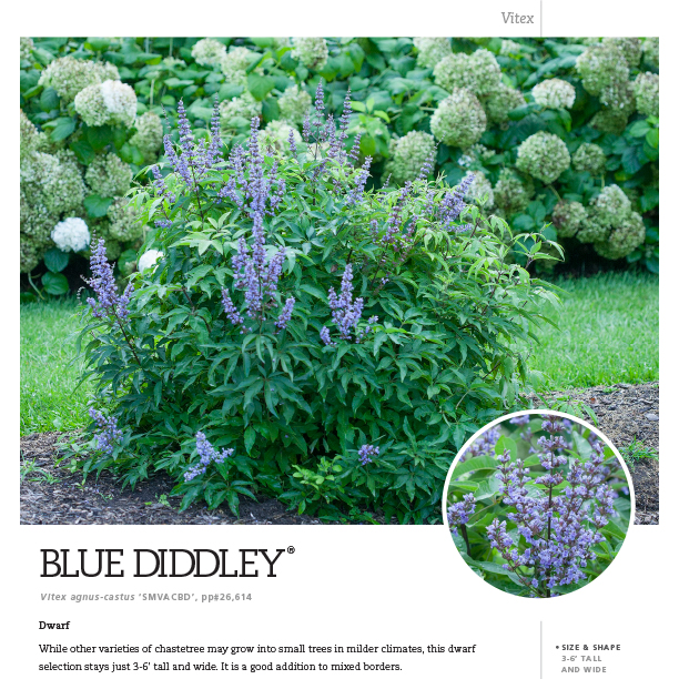 Preview of Blue Diddley® Vitex Spec Sheet PDF
