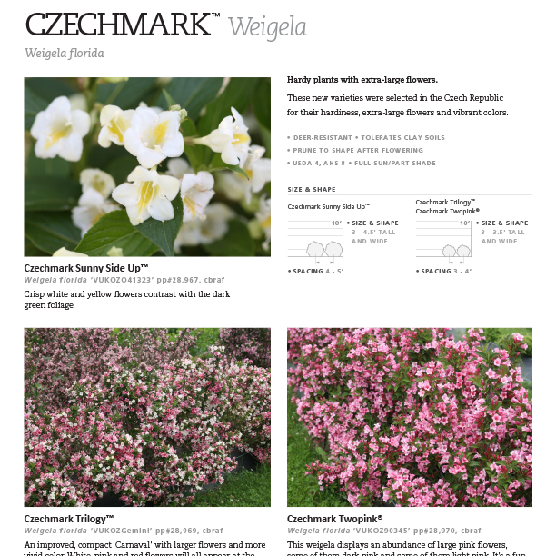Preview of Czechmark® Weigela Series Spec Sheet  PDF