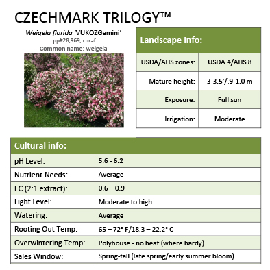 Preview of Czechmark Trilogy® Weigela Grower Sheet PDF