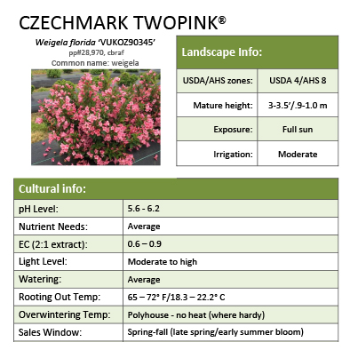 Preview of Czechmark Twopink® Weigela Grower Sheet PDF