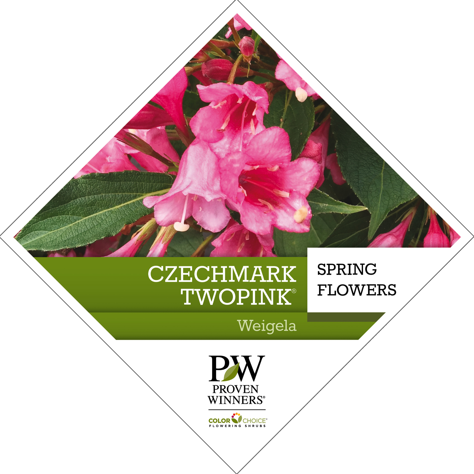 Preview of Czechmark Twopink® Weigela Tag PDF