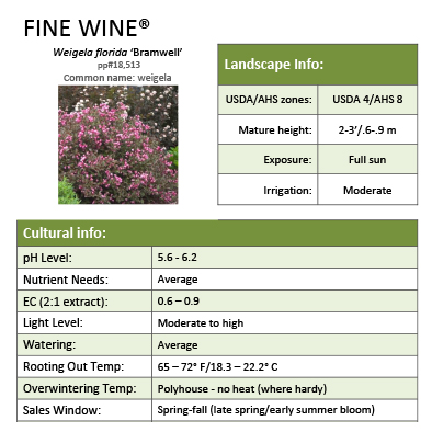 Preview of Fine Wine® Weigela Grower Sheet   PDF
