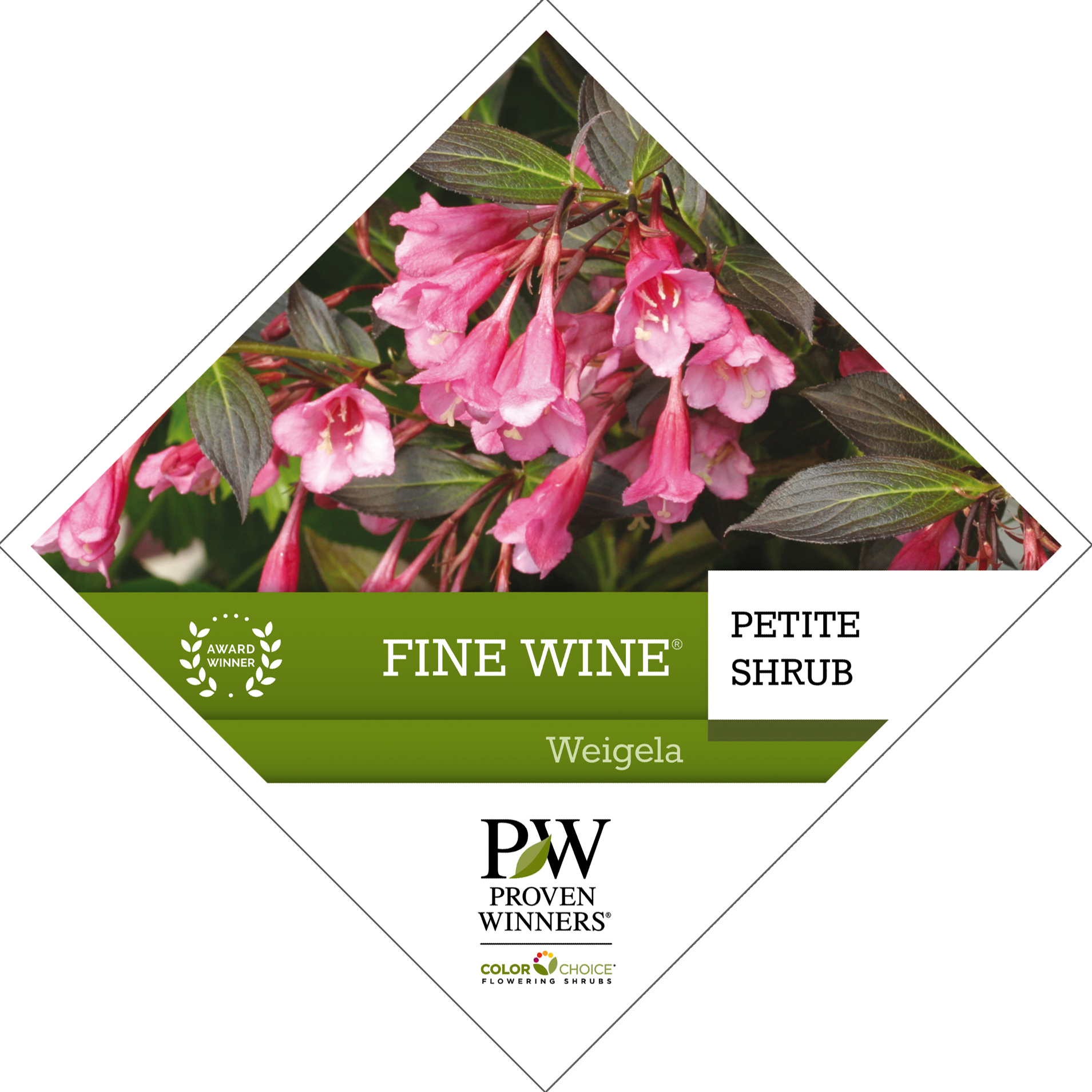 Preview of Fine Wine® Weigela Tag PDF