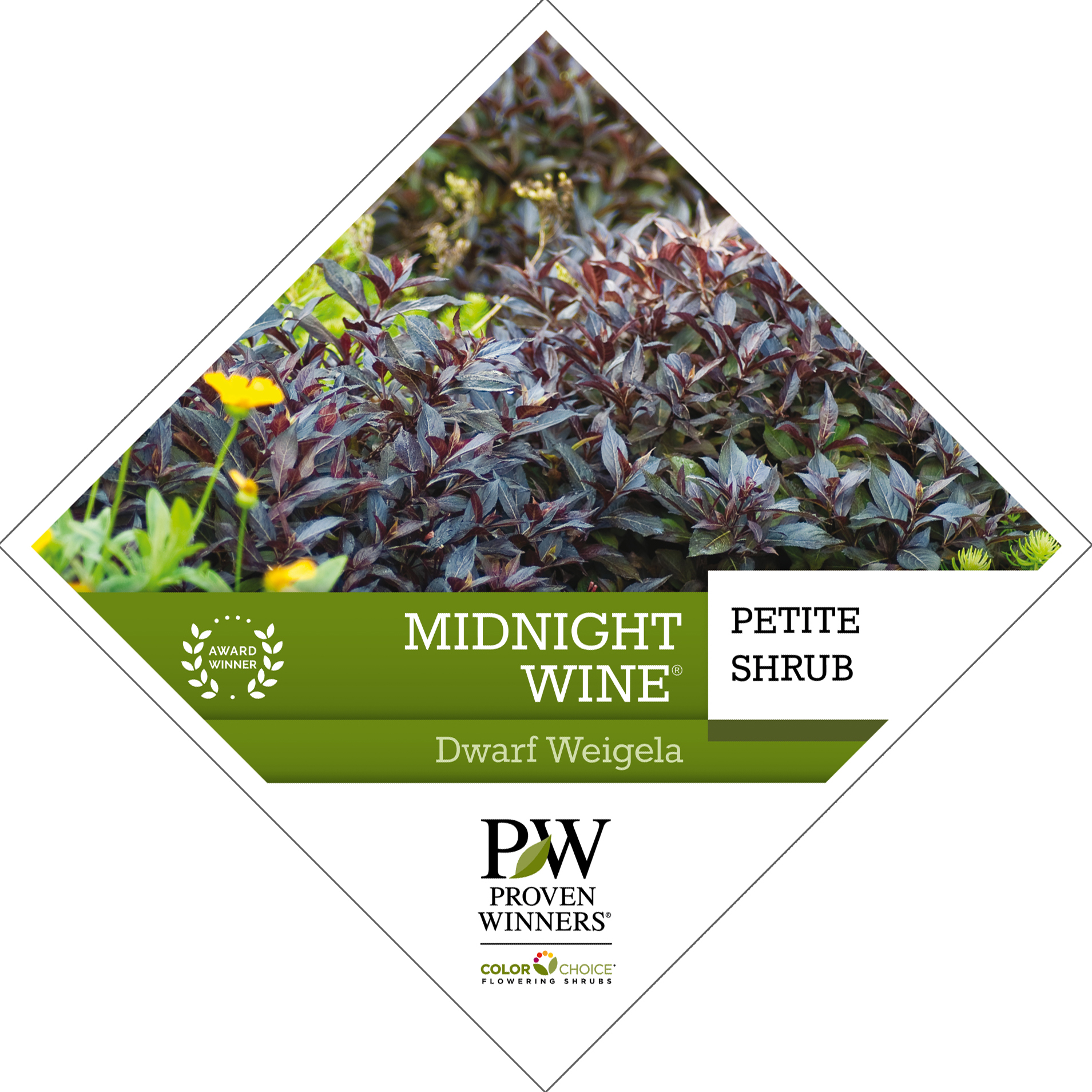 Preview of Midnight Wine® Weigela Tag PDF